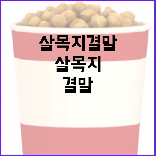 살목지 결말을 이해하는 방법 - 요약