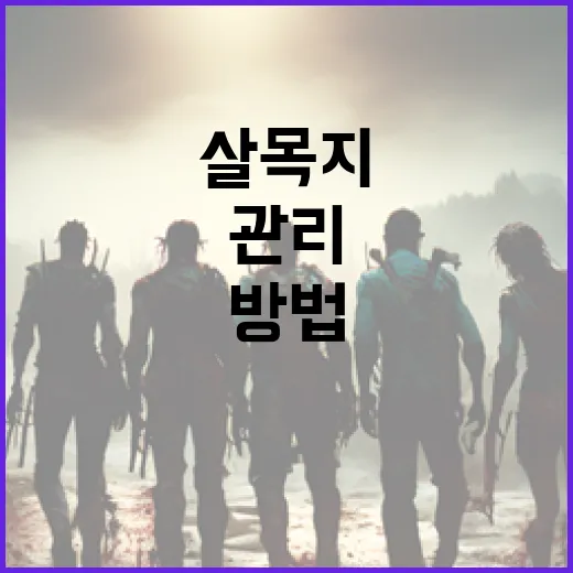 살목지를 효과적으로 관리하는 방법 - 요약