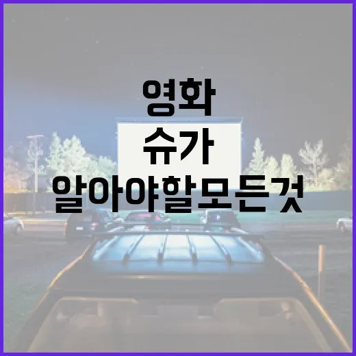 영화 '슈가'에 대해 알아야 할 모든 것 - 요약