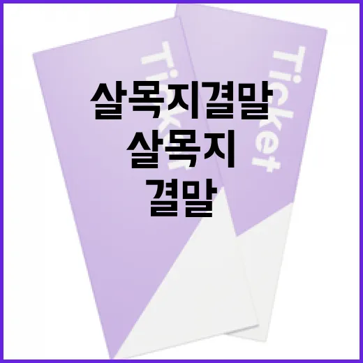 살목지 결말 이해하는 방법 - 요약