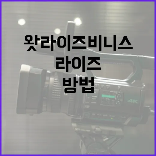 왓라이즈비니스를 활용하여 비즈니스를 성장시키는 방법 - 요약