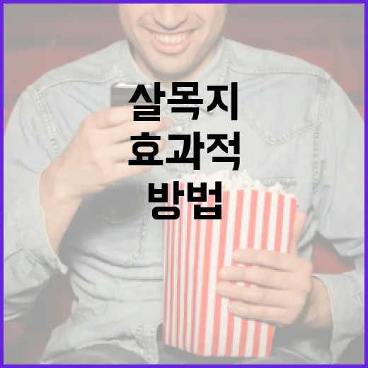 살목지를 효과적으로 활용하는 방법 - 요약