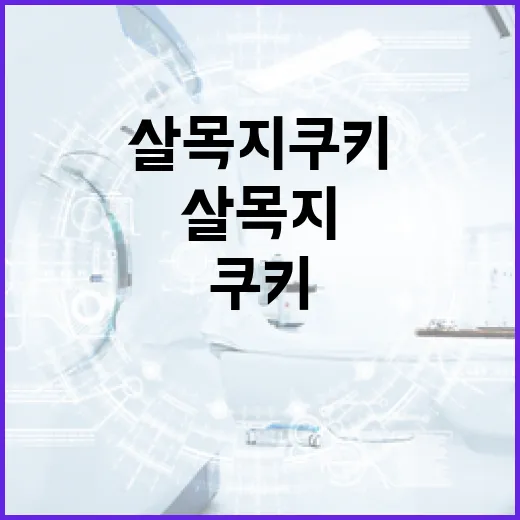 살목지 쿠키를 만드는 최고의 방법 - 요약