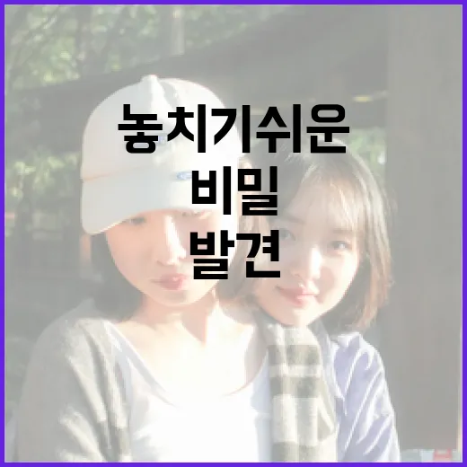 히든페이스를 발견하는 방법: 놓치기 쉬운 비밀들 - 요약