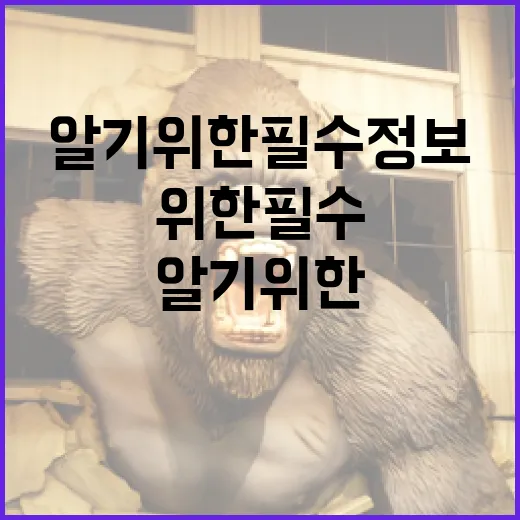 디 아더스를 알기 위한 필수 정보 - 요약