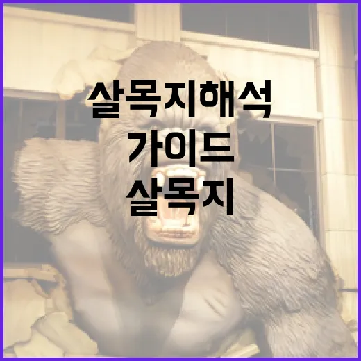살목지 해석하는 방법: 초보자를 위한 가이드 - 요약