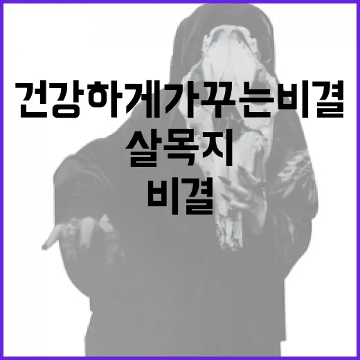 살목지 관리 방법: 건강하게 가꾸는 비결 - 요약