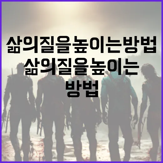 아노라를 활용하여 삶의 질을 높이는 방법 - 요약