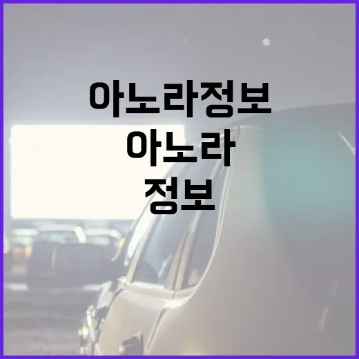 아노라 정보를 쉽게 이해하는 방법 - 요약