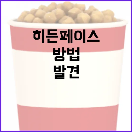 히든페이스를 발견하는 방법 - 요약