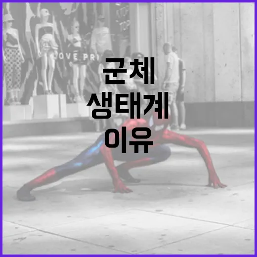 군체 정보 이해하기: 생태계에서 군체가 중요한 이유 - 요약