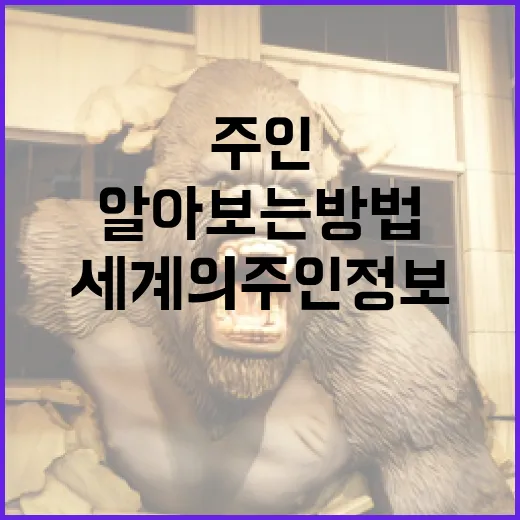 세계의 주인 정보를 알아보는 방법 - 요약