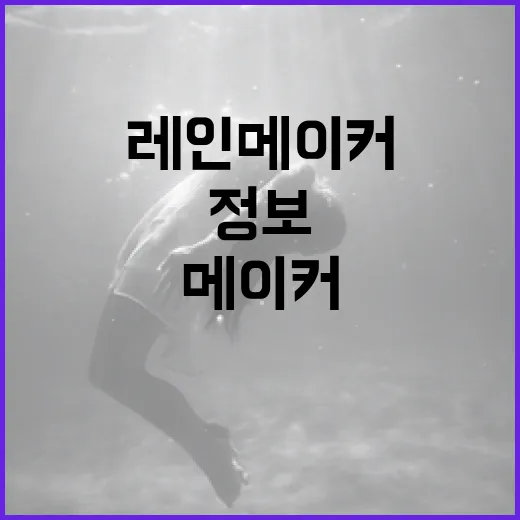 레인메이커가 되는 방법: 성공적인 정보 관리 전략 - 요약
