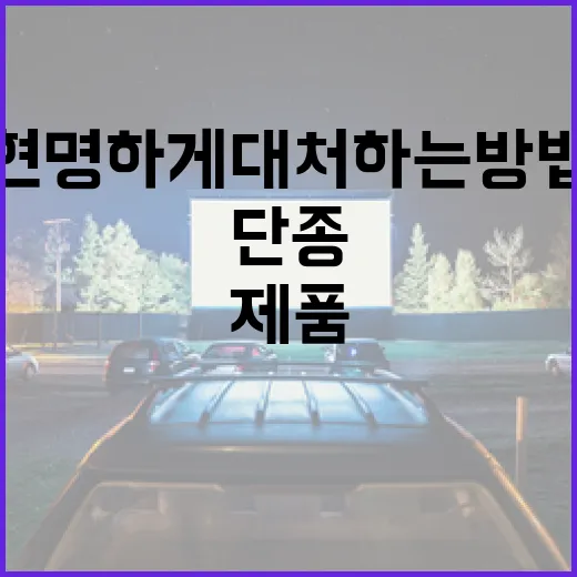 단종된 제품을 현명하게 대처하는 방법 - 요약