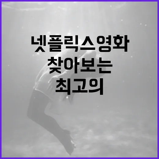 최고의 넷플릭스 영화를 찾아보는 방법 - 요약