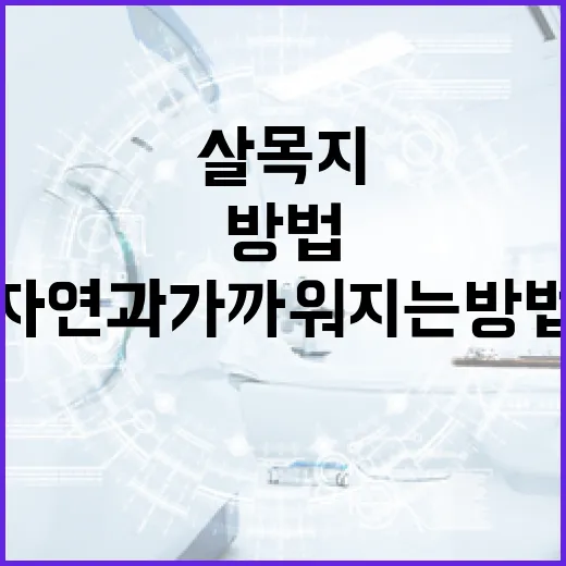 살목지를 활용하여 자연과 가까워지는 방법 - 요약