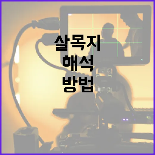 살목지를 해석하는 방법 - 요약