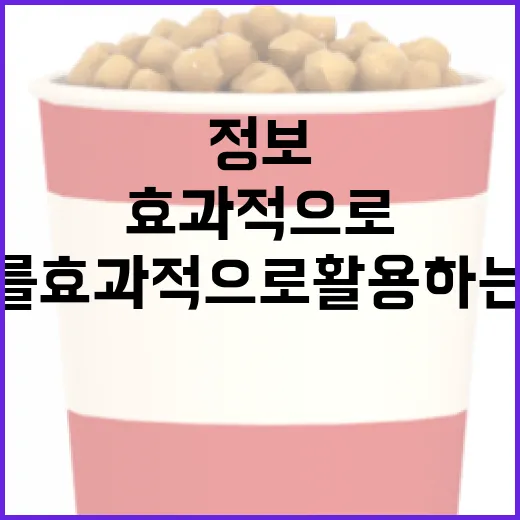 아노라 정보를 효과적으로 활용하는 방법 - 요약