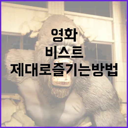 비스트 영화를 제대로 즐기는 방법 - 요약