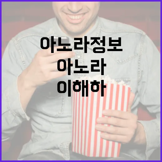 아노라 정보를 이해하고 활용하는 방법 - 요약