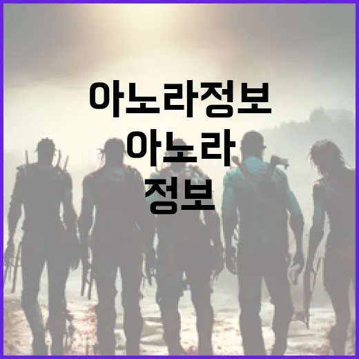 아노라 정보를 이해하고 활용하는 방법 - 요약
