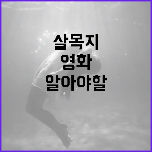 영화 살목지에 대해 알아야 할 모든 것 - 요약