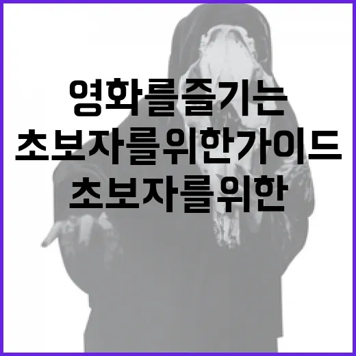 아노라 영화를 즐기는 방법: 초보자를 위한 가이드 - 요약