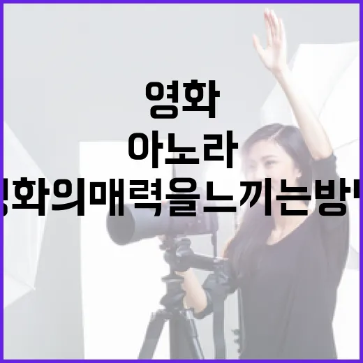 아노라 영화의 매력을 느끼는 방법 - 요약