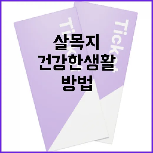 살목지를 활용하여 건강한 생활을 유지하는 방법 - 요약