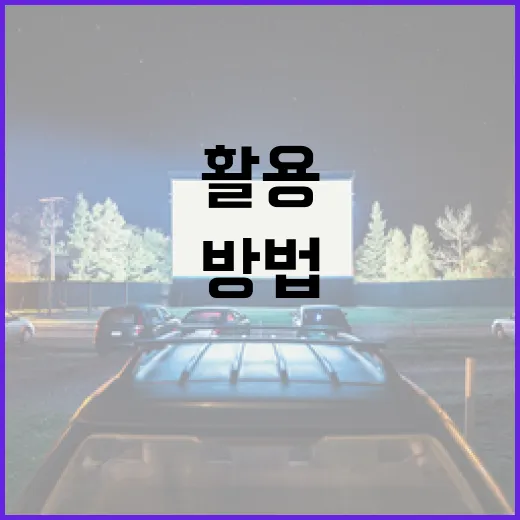 아노라를 효과적으로 활용하는 방법 - 요약