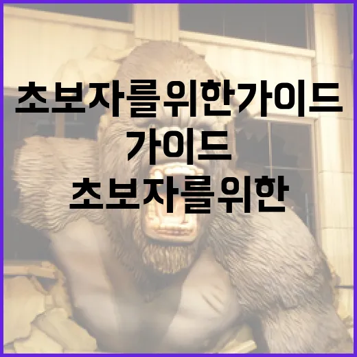 히든페이스를 찾는 방법: 초보자를 위한 가이드 - 요약