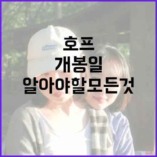 호프 개봉일에 대해 알아야 할 모든 것 - 요약