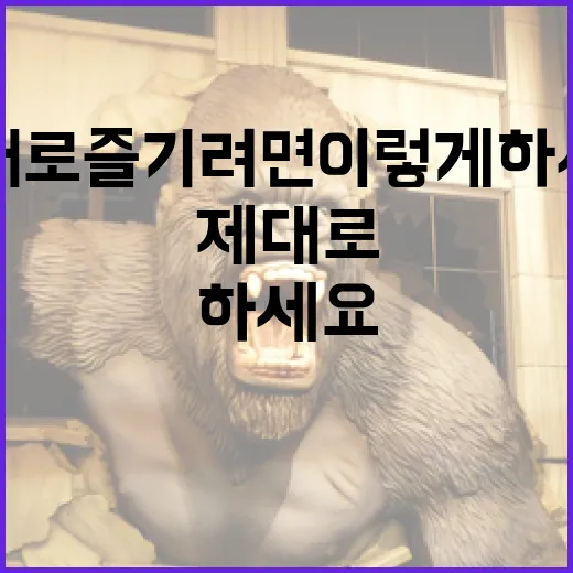 마이클 영화를 제대로 즐기려면 이렇게 하세요 - 요약