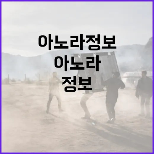아노라 정보를 쉽게 이해하는 방법 - 요약