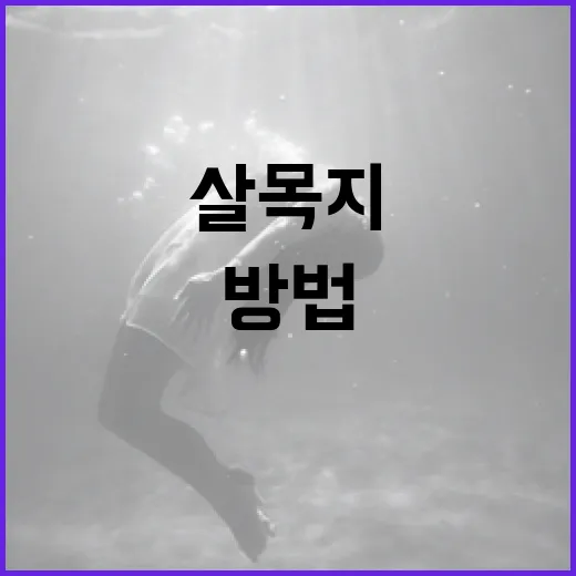 살목지를 이해하고 활용하는 방법 - 요약