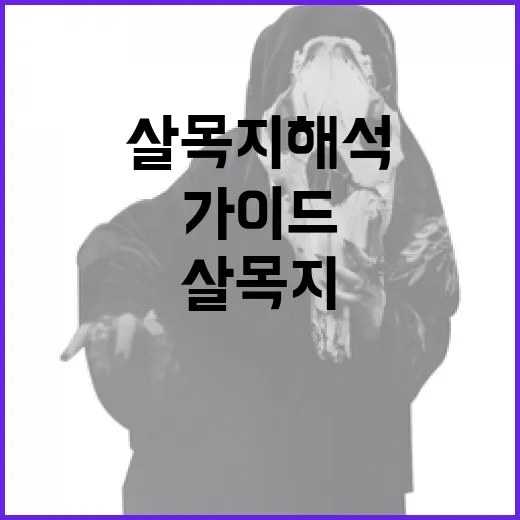 살목지 해석하는 방법: 초보자를 위한 가이드 - 요약