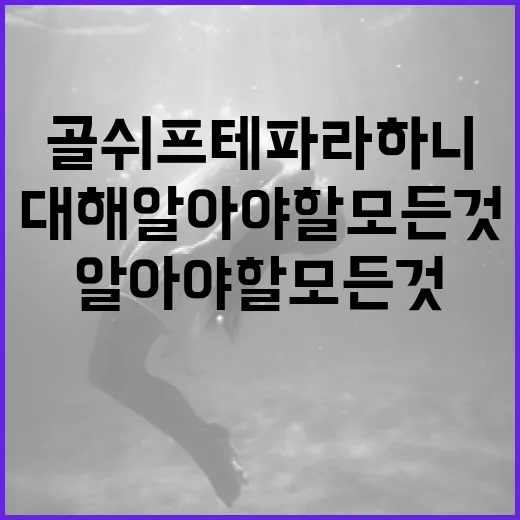 골쉬프테 파라하니에 대해 알아야 할 모든 것 - 요약