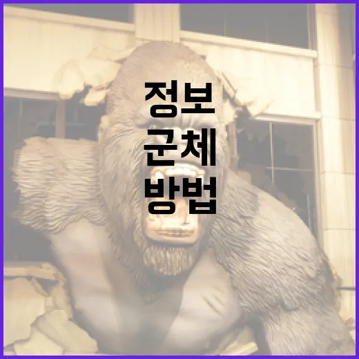 군체 정보를 이해하는 방법 - 요약