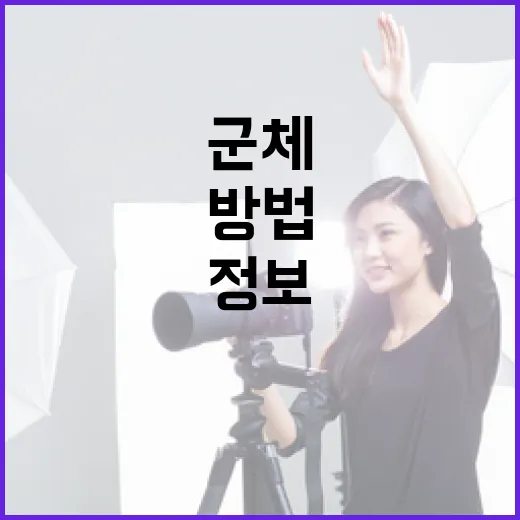 군체 정보를 이해하고 활용하는 방법 - 요약