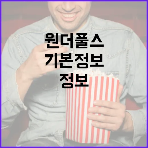원더풀스를 알아보는 방법: 기본 정보에서 활용까지 - 요약