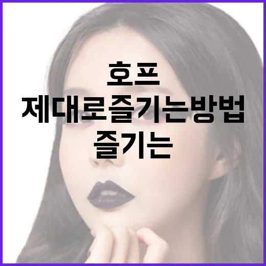 영화 '호프'를 제대로 즐기는 방법 - 요약
