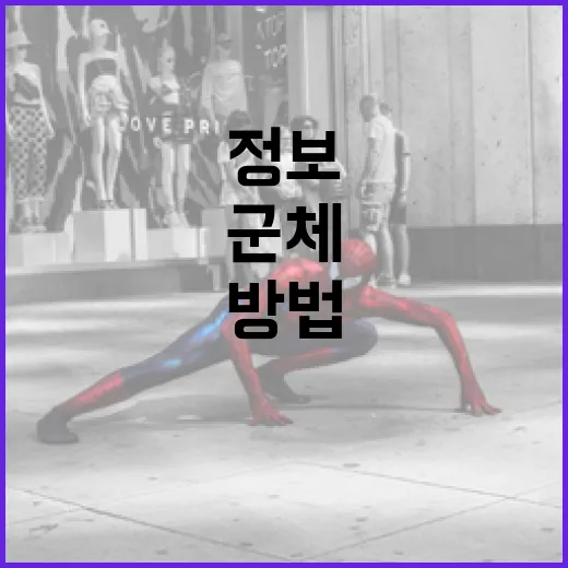 군체 정보를 이해하는 방법 - 요약