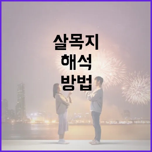 살목지를 해석하는 방법 - 요약