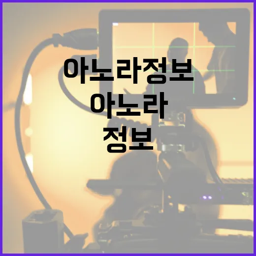 아노라 정보를 쉽게 이해하는 방법 - 요약