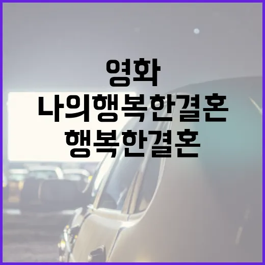 영화 '나의 행복한 결혼'을 즐기는 방법 - 요약