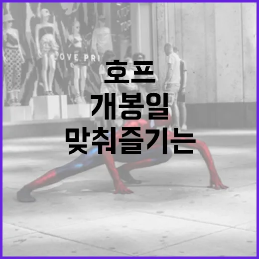 호프 개봉일에 맞춰 즐기는 방법 - 요약