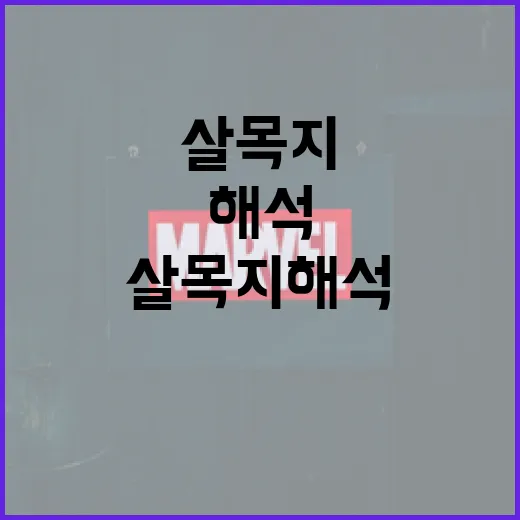 살목지 해석하는 방법: 기초부터 전문가 팁까지 - 요약