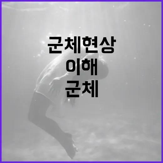군체의 이해: 자연과 사회에서의 군체 현상 알아보기 - 요약