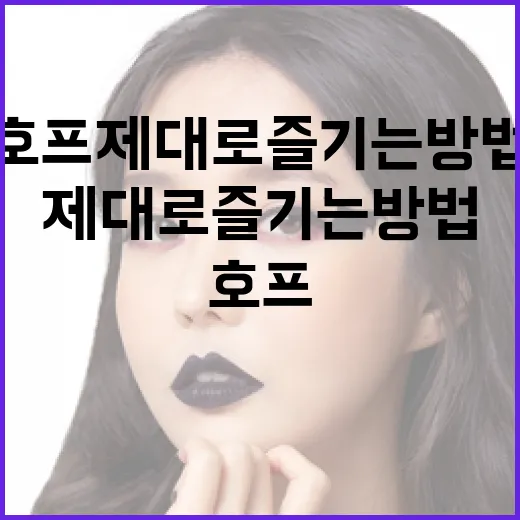 영화 호프 제대로 즐기는 방법 - 요약