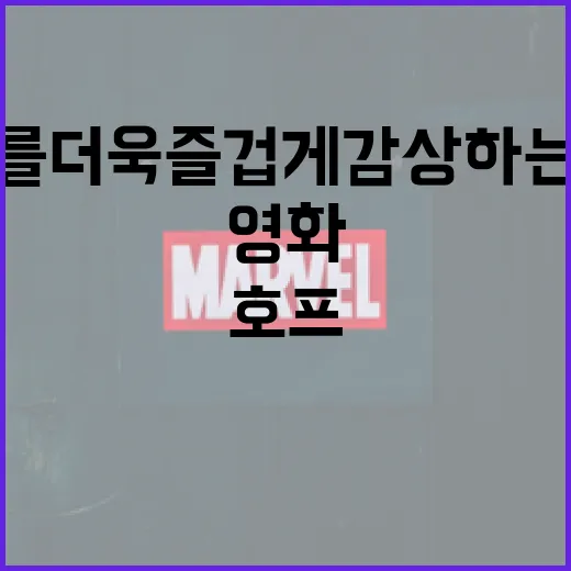 호프 영화를 더욱 즐겁게 감상하는 방법 - 요약